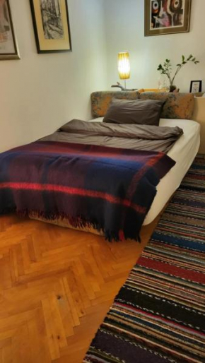 Room in Shared Artist's Apartment